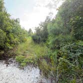 Review photo of Great Lake Dispersed Site - Croatan National Forest by Michael C., August 11, 2026