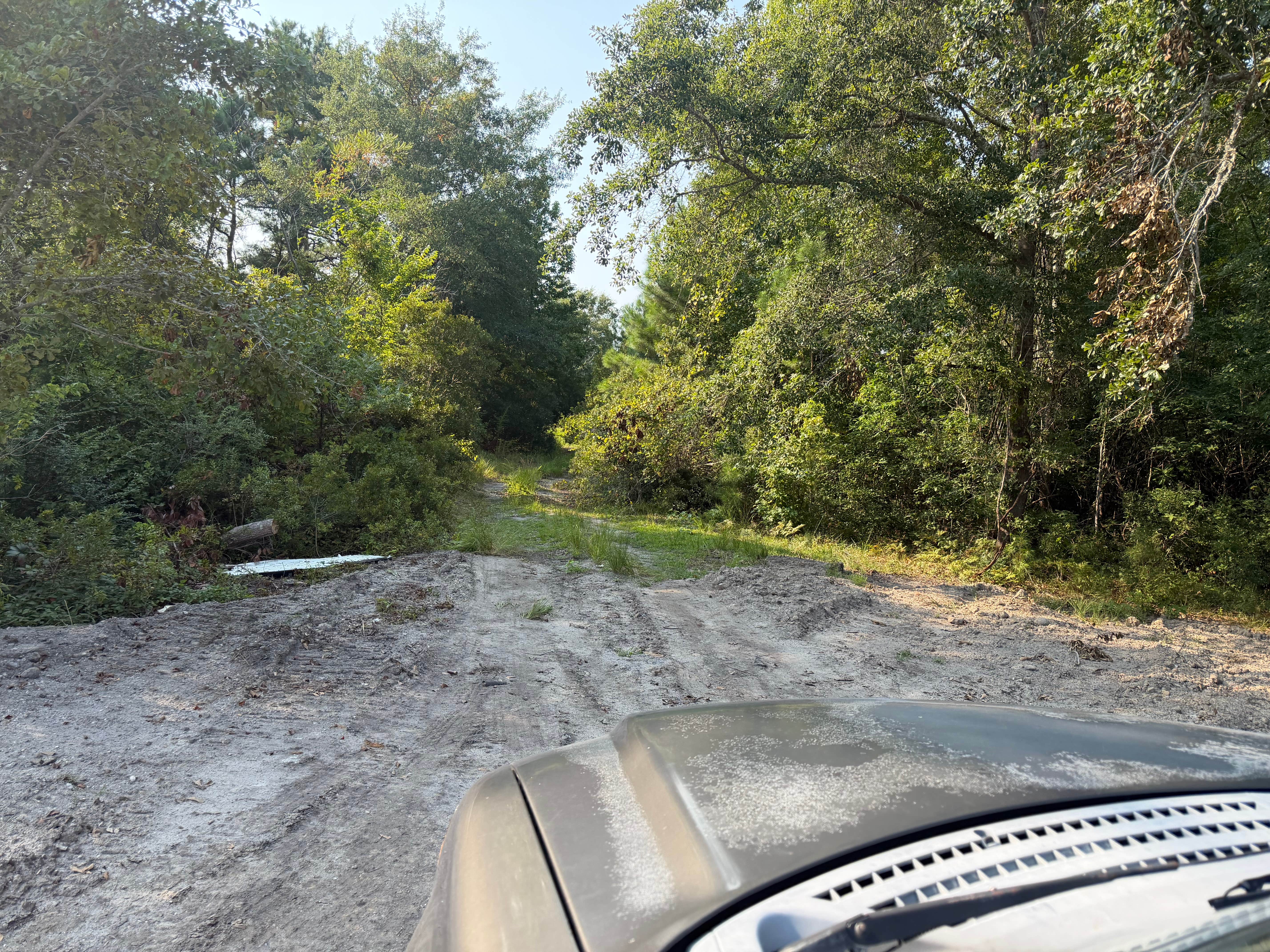 Camper-submitted photo at Great Lake Dispersed Site - Croatan National Forest near New Bern, NC