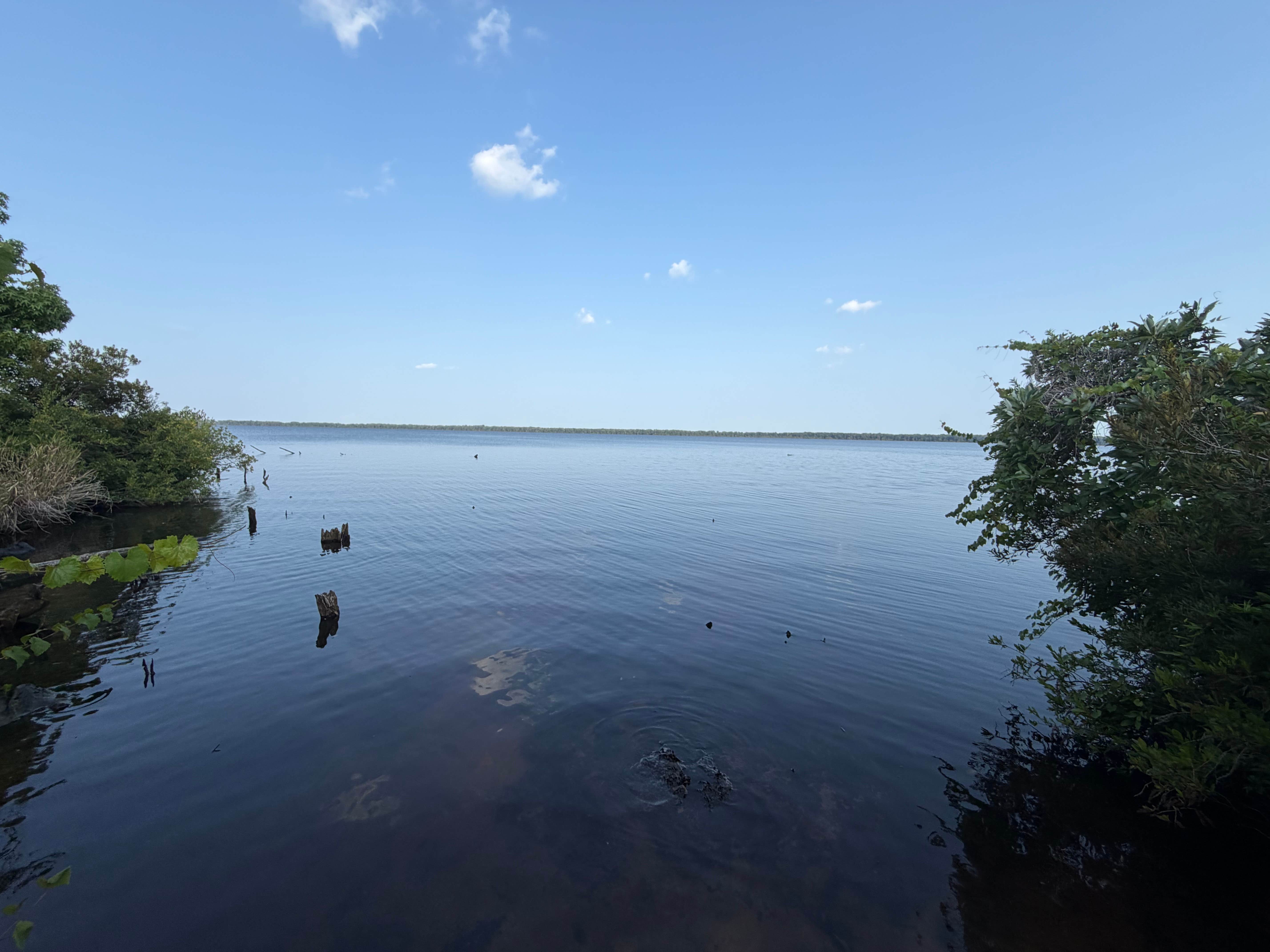 Camper-submitted photo at Great Lake Dispersed Site - Croatan National Forest near New Bern, NC