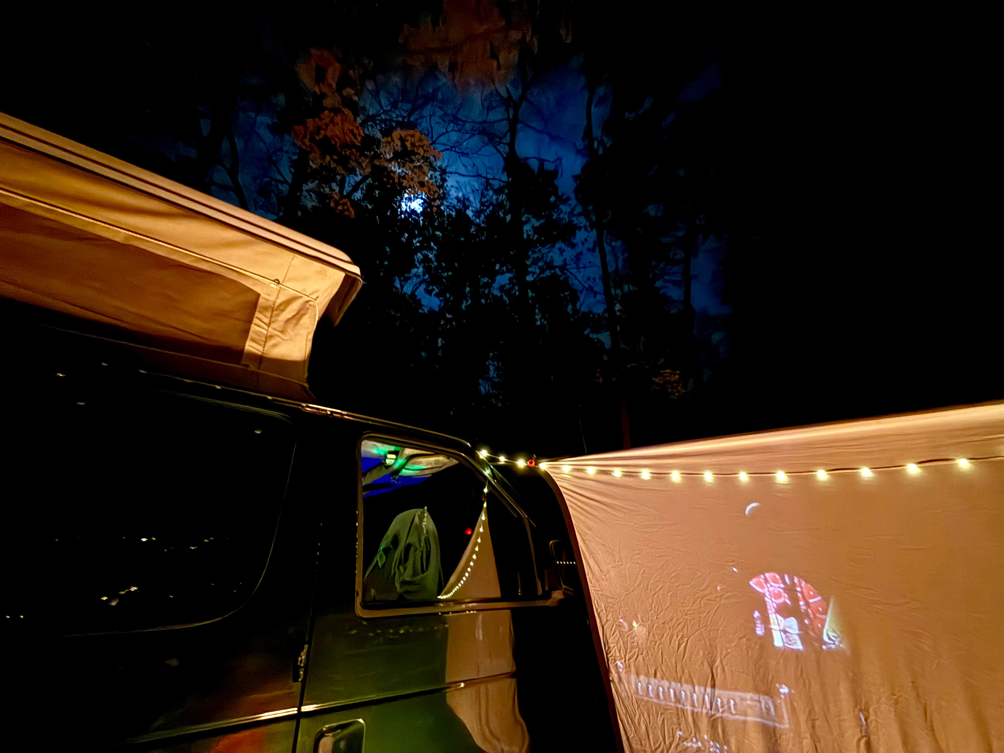 Amber W.'s photo of tent camping at Blue Hole Dispersed- Crockford-Pigeon Mountain WMA near Langston, AL