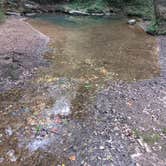 Review photo of Blue Hole Dispersed- Crockford-Pigeon Mountain WMA by Sarah H., August 24, 2024