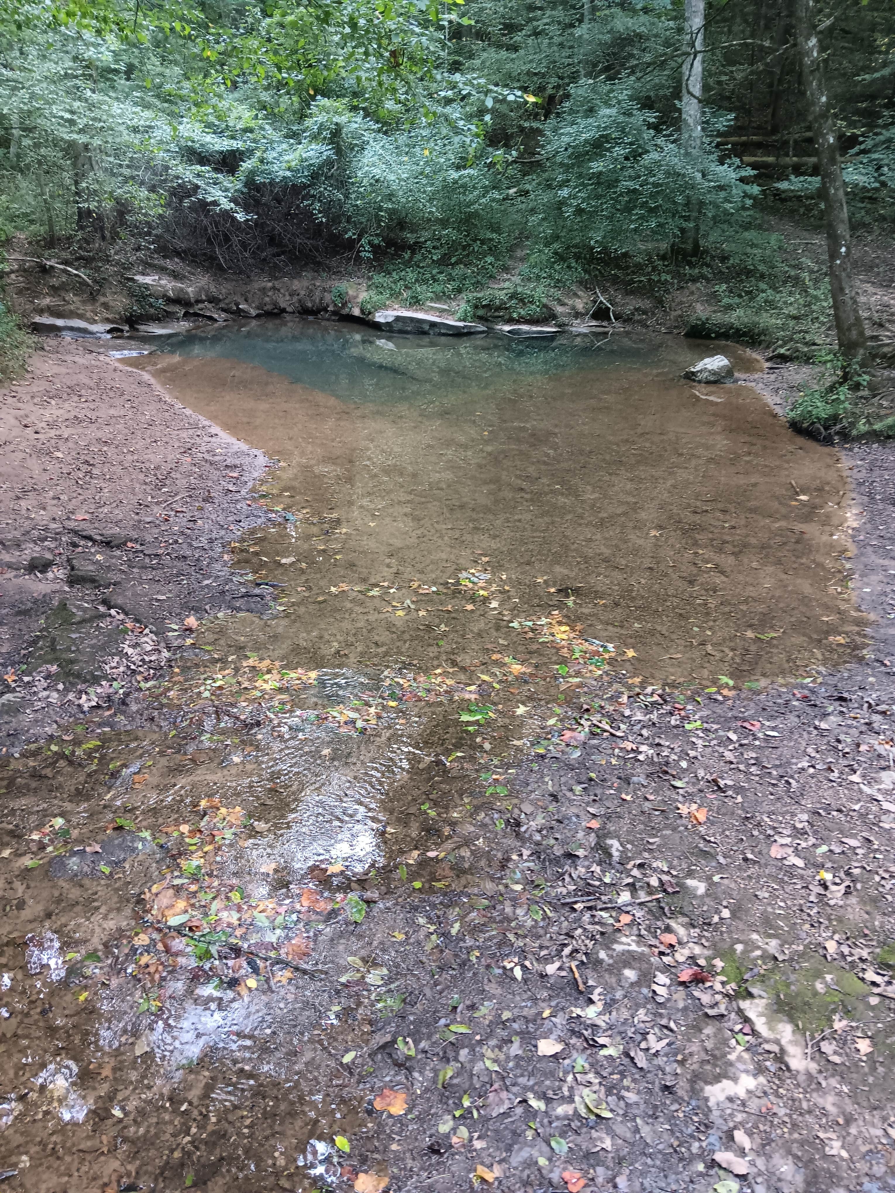 Camper submitted image from Blue Hole Dispersed- Crockford-Pigeon Mountain WMA - 2