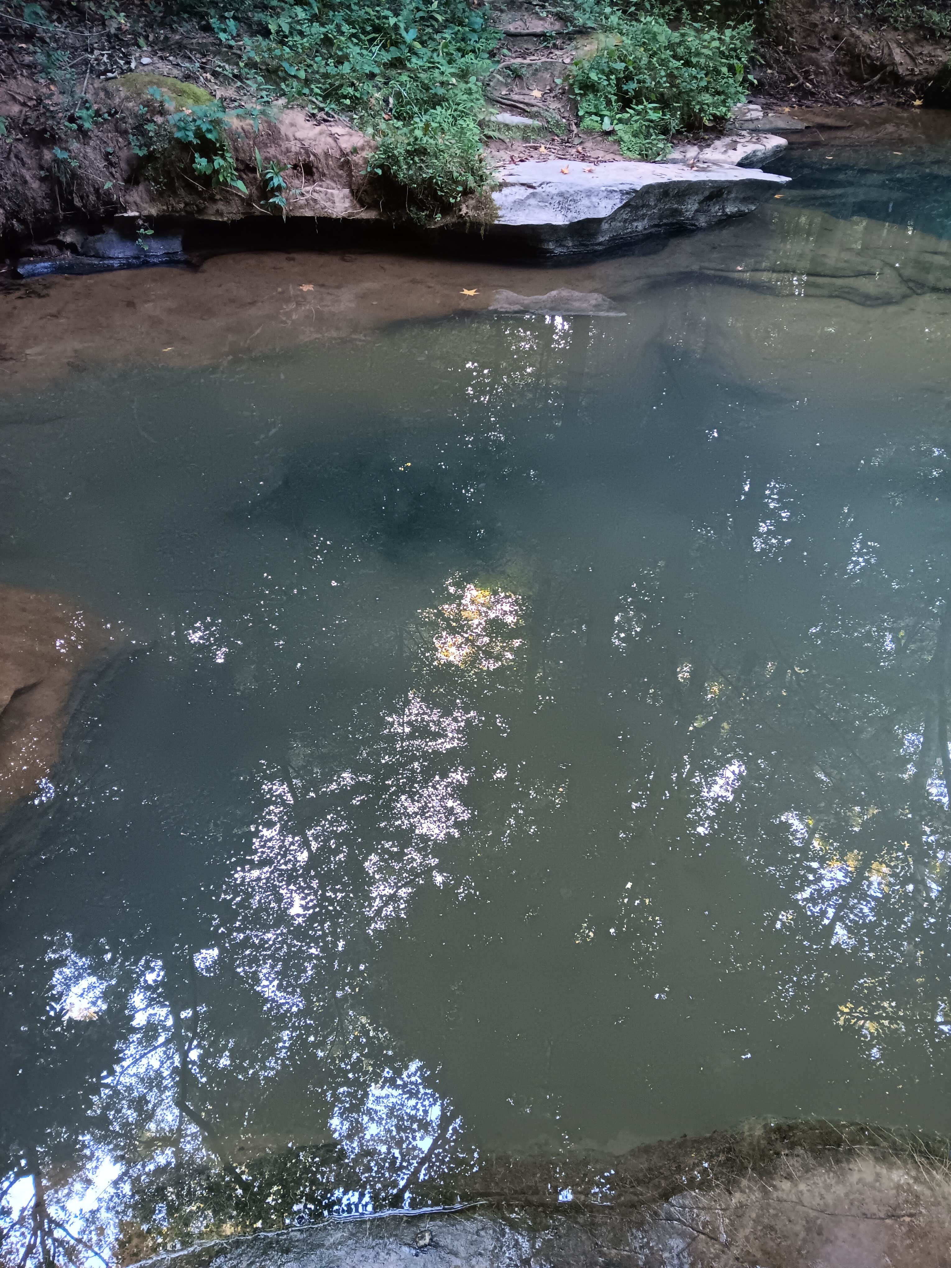 Camper-submitted photo at Blue Hole Dispersed- Crockford-Pigeon Mountain WMA near Fort Payne, AL