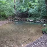 Review photo of Blue Hole Dispersed- Crockford-Pigeon Mountain WMA by Sarah H., August 24, 2024