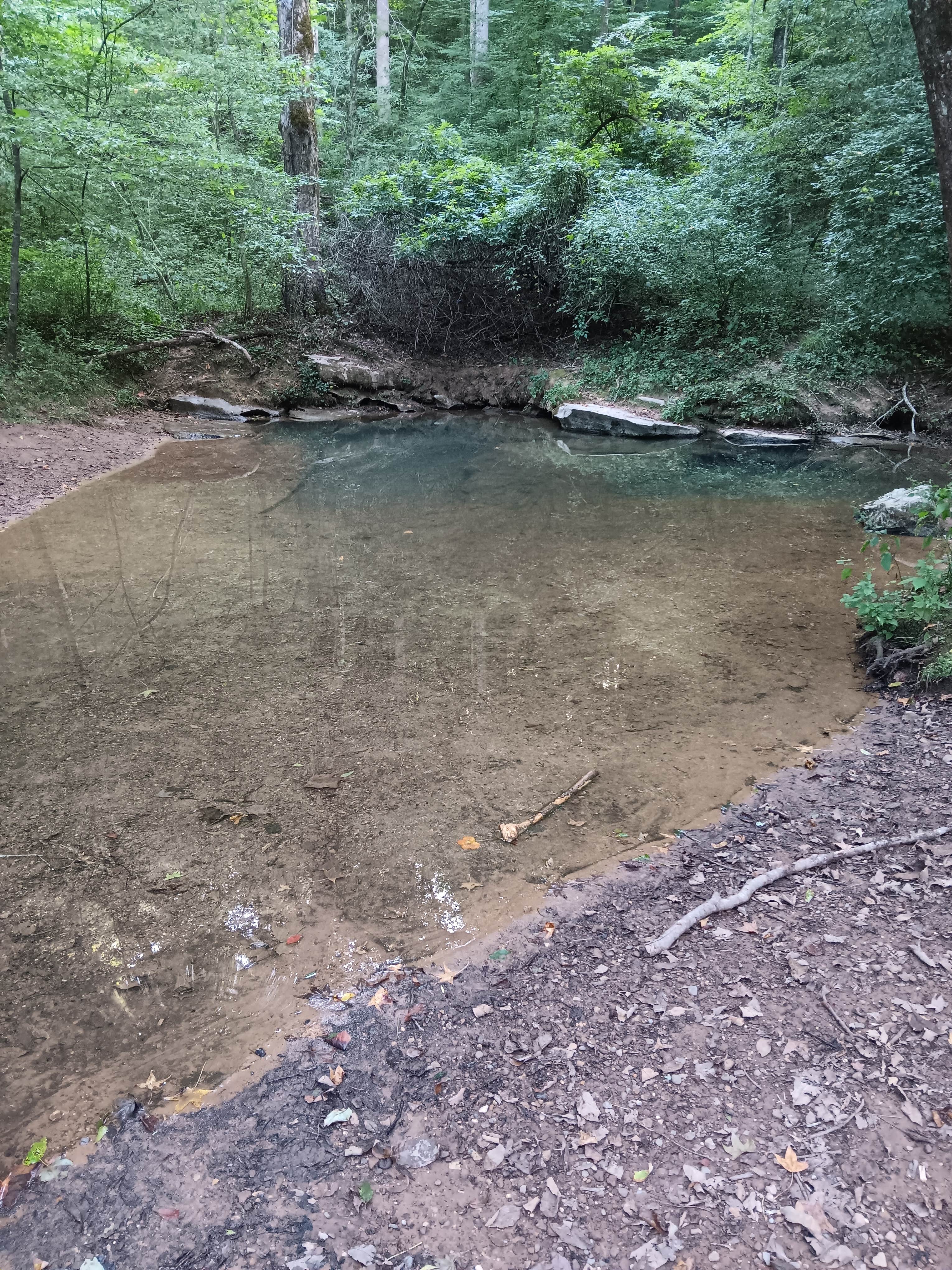 Camper submitted image from Blue Hole Dispersed- Crockford-Pigeon Mountain WMA - 4