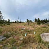 Review photo of Cromwell Dixon Campground by Ricky R., August 22, 2026
