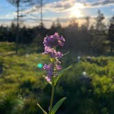Review photo of Cromwell Dixon Campground by A C., July 31, 2026