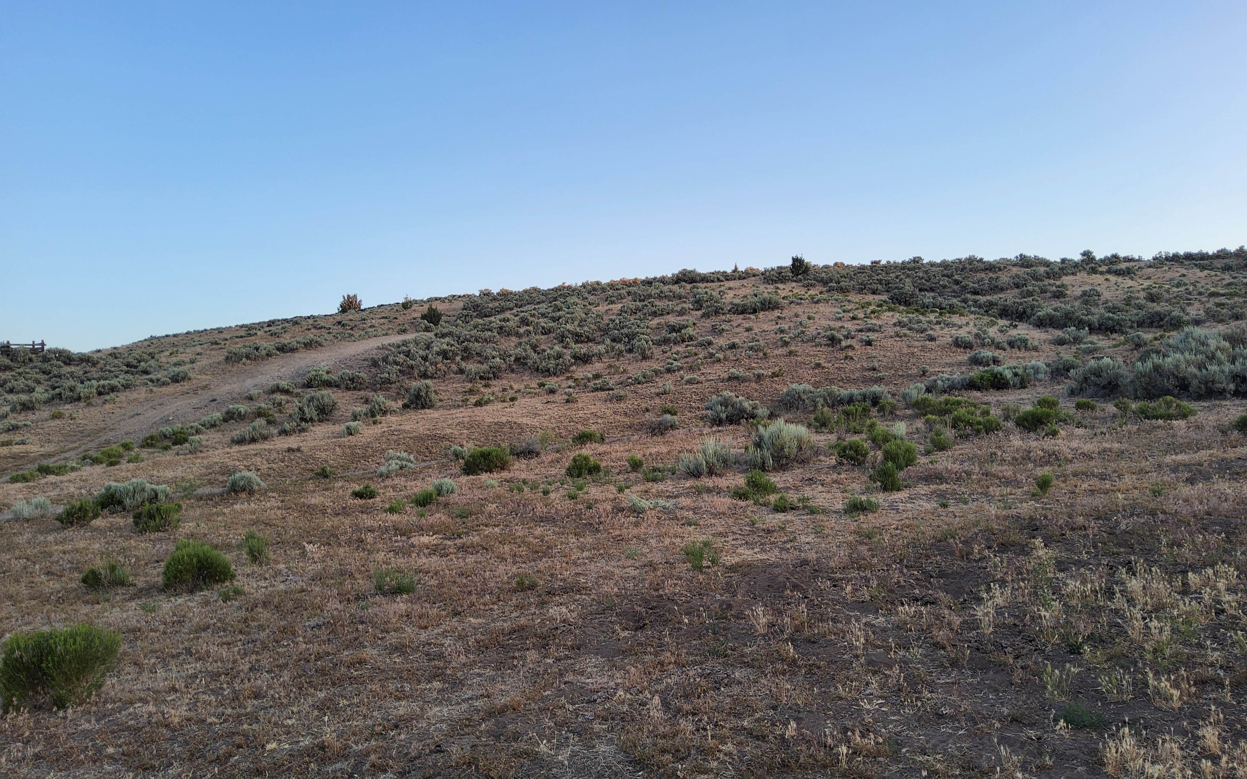 Camper-submitted photo at Crooked River National Grasslands Dispersed Camping near Culver, OR