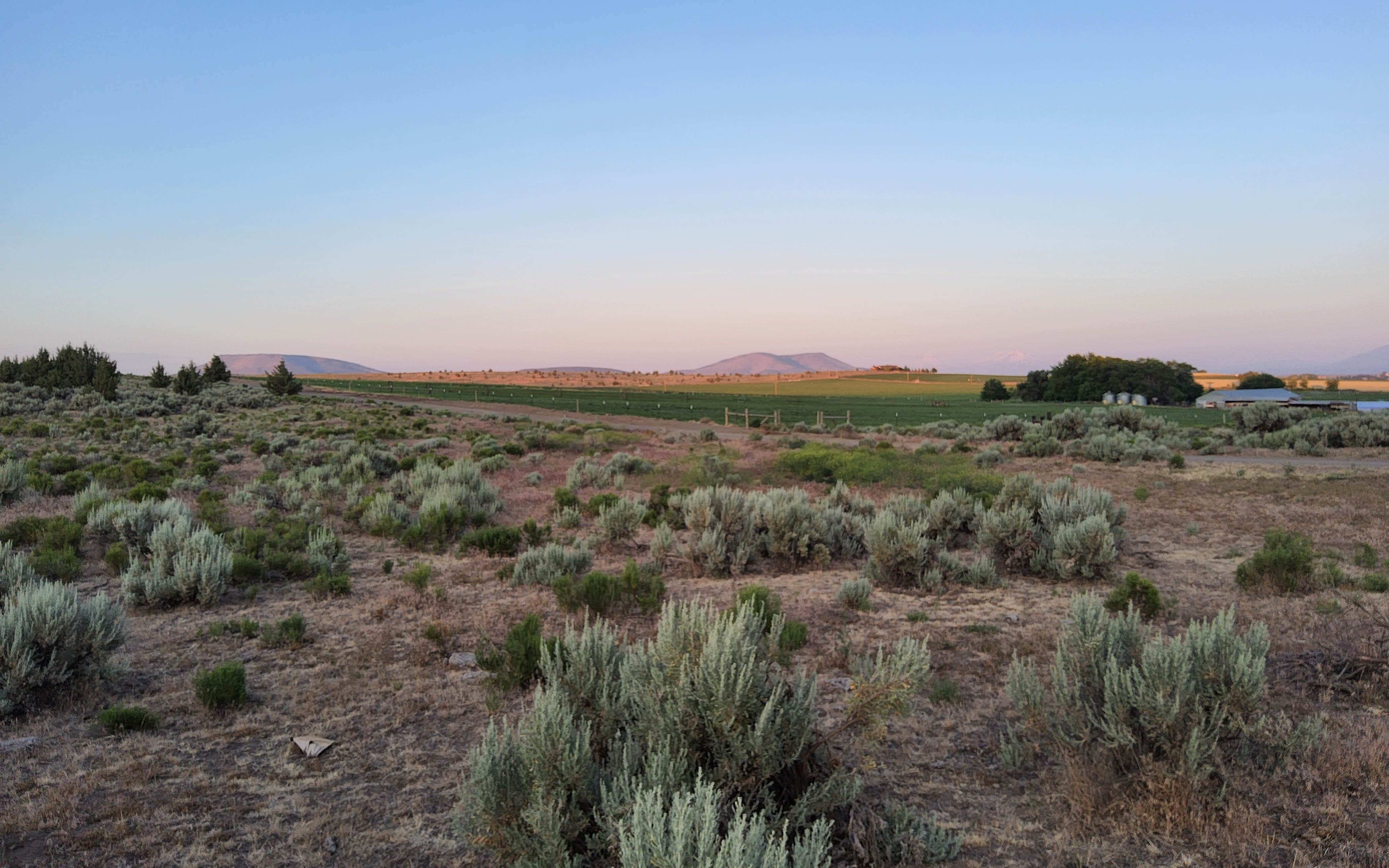 Camper-submitted photo at Crooked River National Grasslands Dispersed Camping near Culver, OR