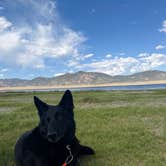Review photo of Cross Creek Campground — Eleven Mile State Park by Joy M., July 13, 2026