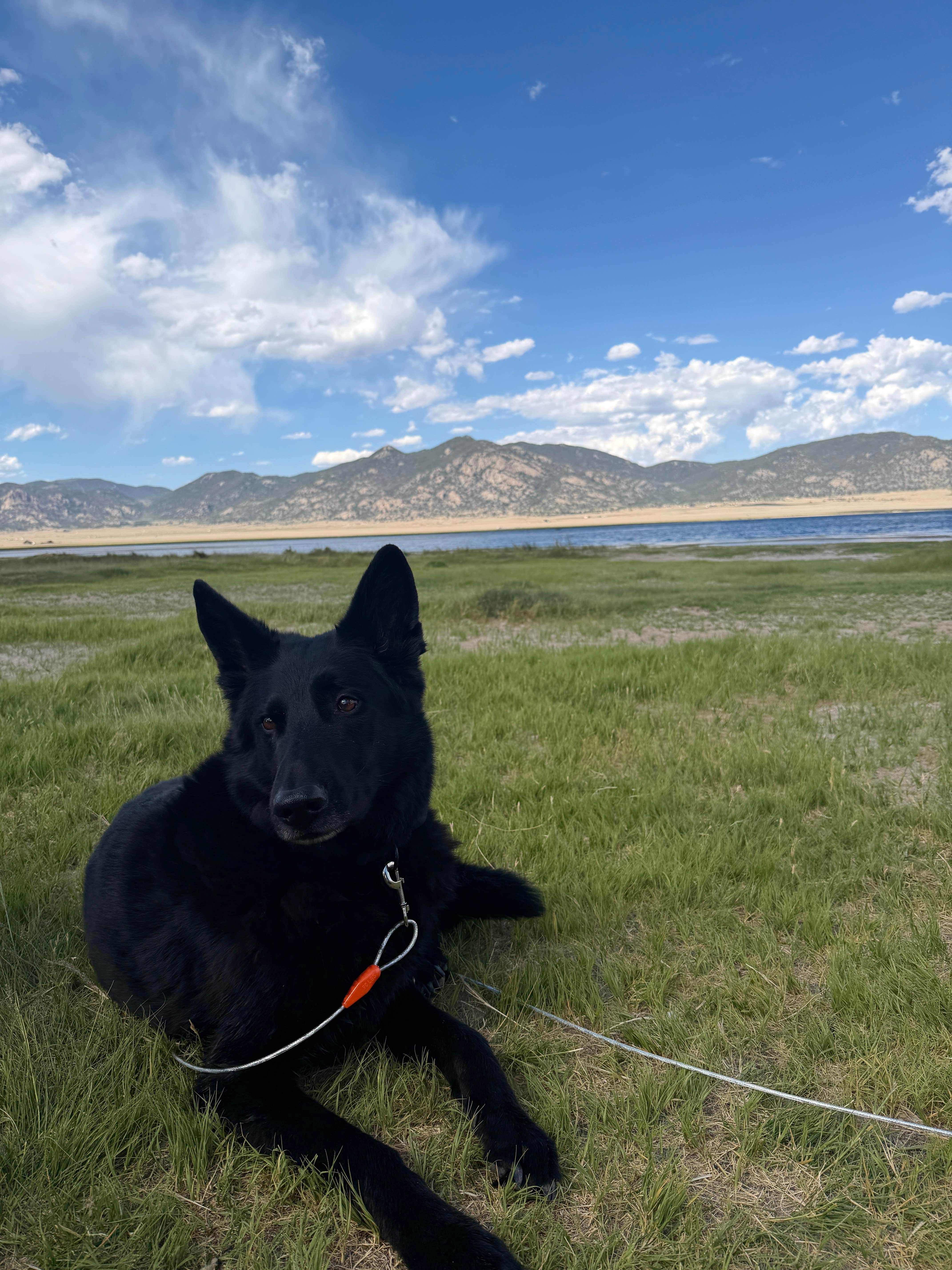 Joy M.'s photo of camping with pets at Cross Creek Campground — Eleven Mile State Park near Guffey, CO