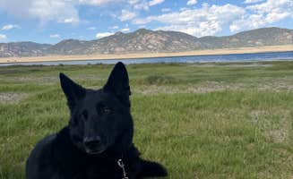 Joy M.'s photo of camping with pets at Cross Creek Campground — Eleven Mile State Park near Guffey, CO