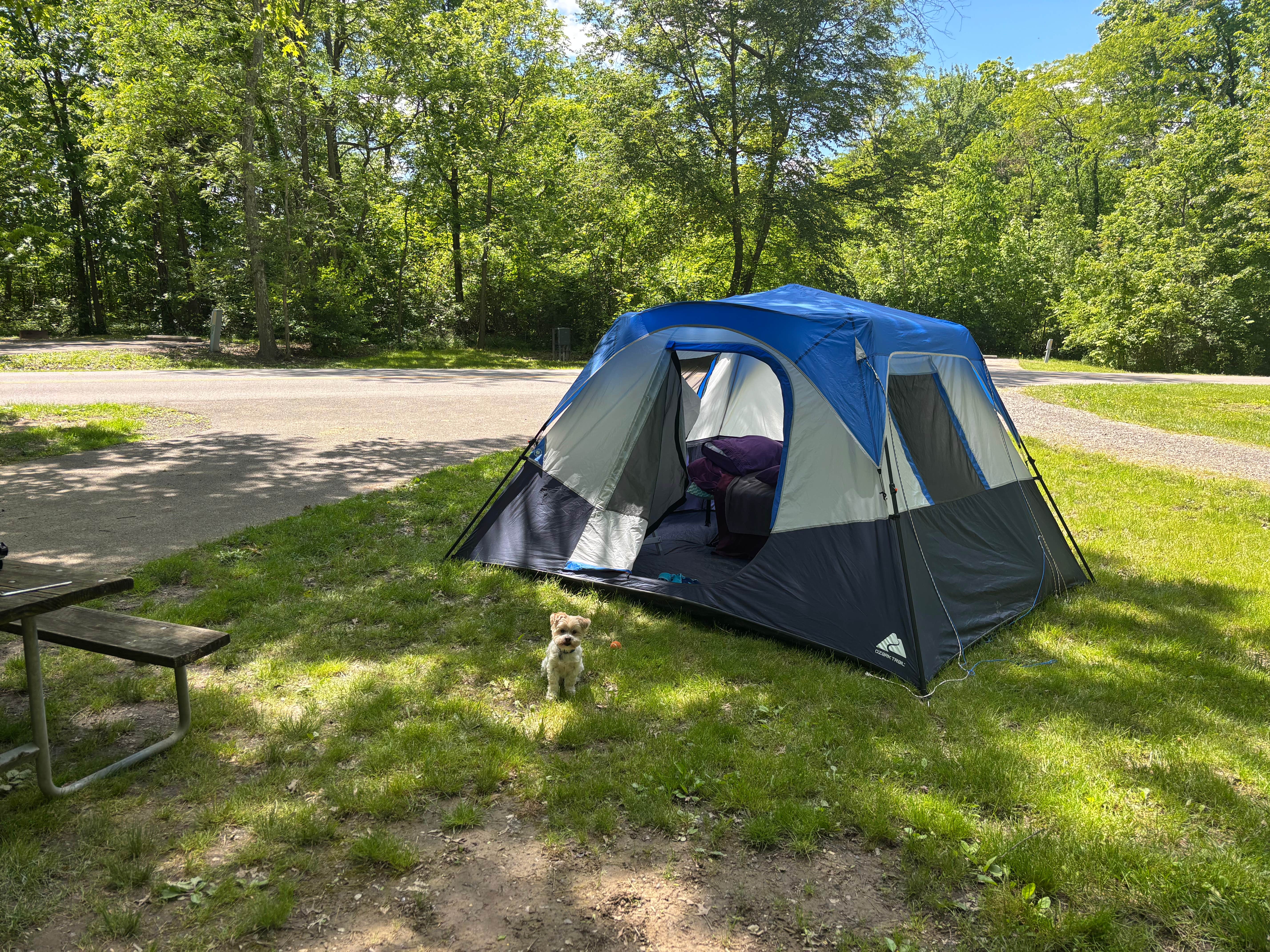 Bruce K.'s photo at Cross Creek Camping Resort near Lockbourne, OH