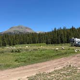 Review photo of Cross Mtn - East Fork Dispersed Camping by Timothy M., June 19, 2026