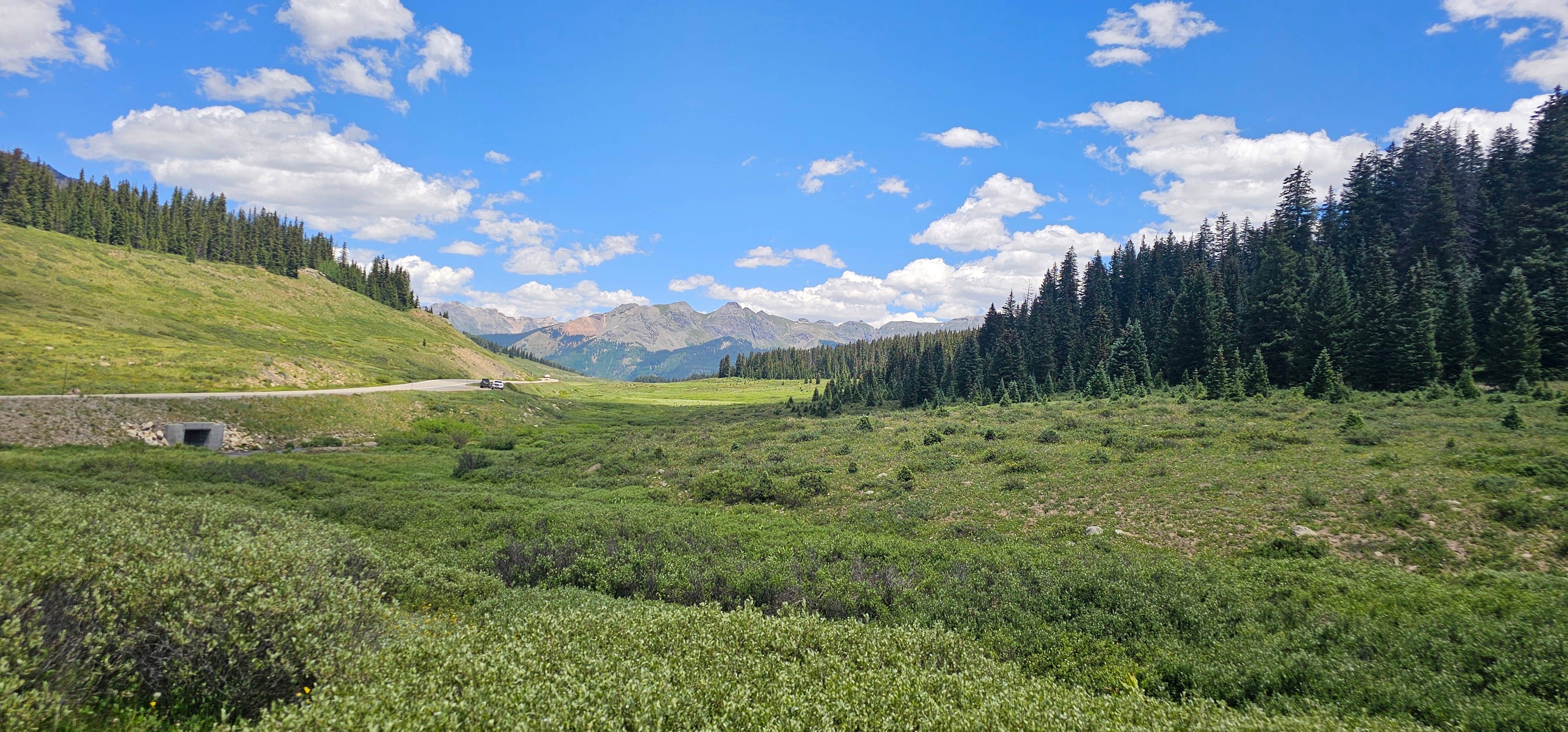 johny R.'s photo of a dispersed camping area at Cross Mtn - East Fork Dispersed Camping near Norwood, CO