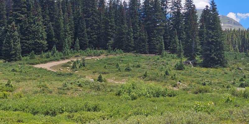 Camper submitted image from Cross Mtn - East Fork Dispersed Camping