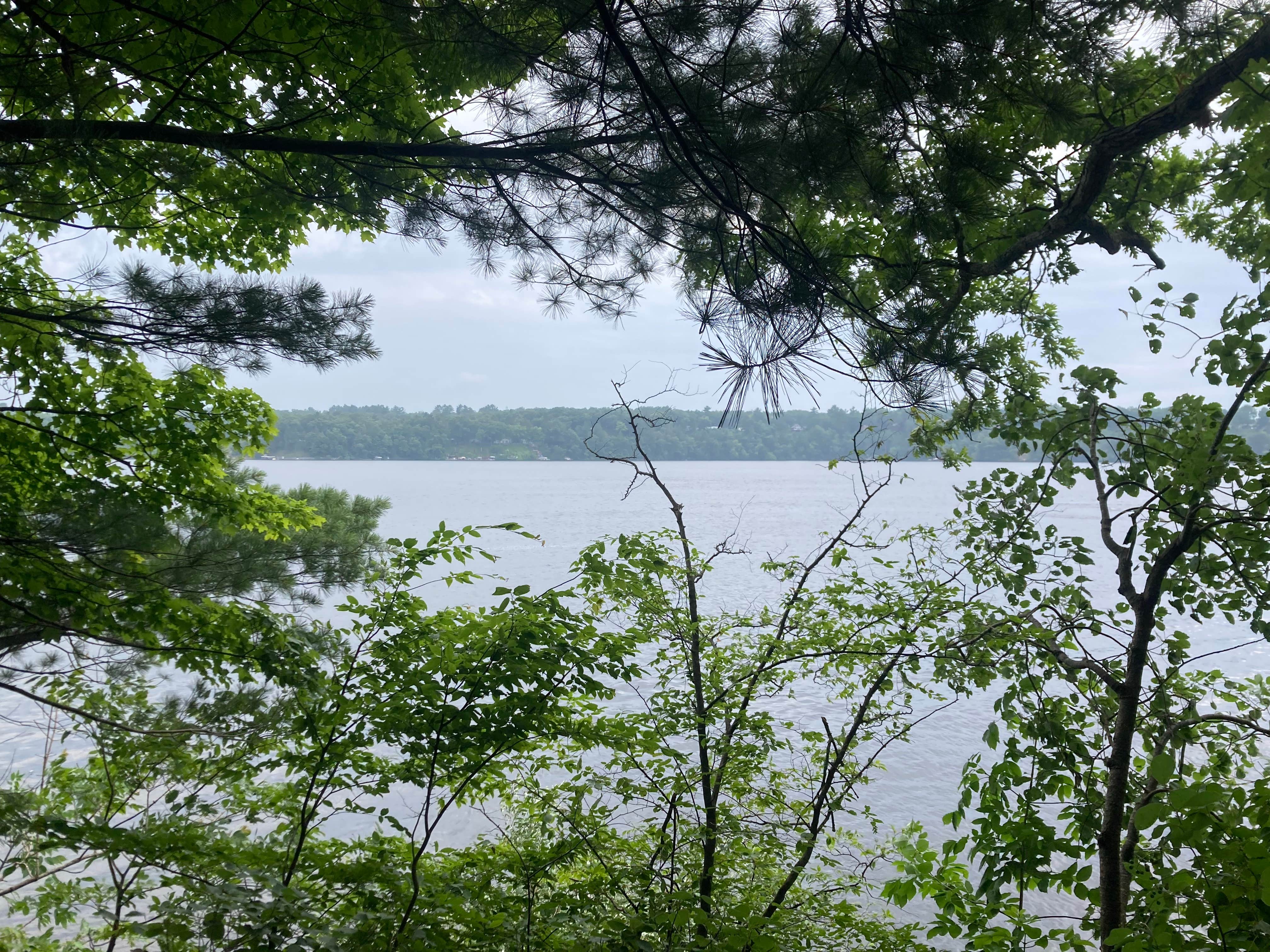 Camper-submitted photo at Croton Township Campground near Morley, MI