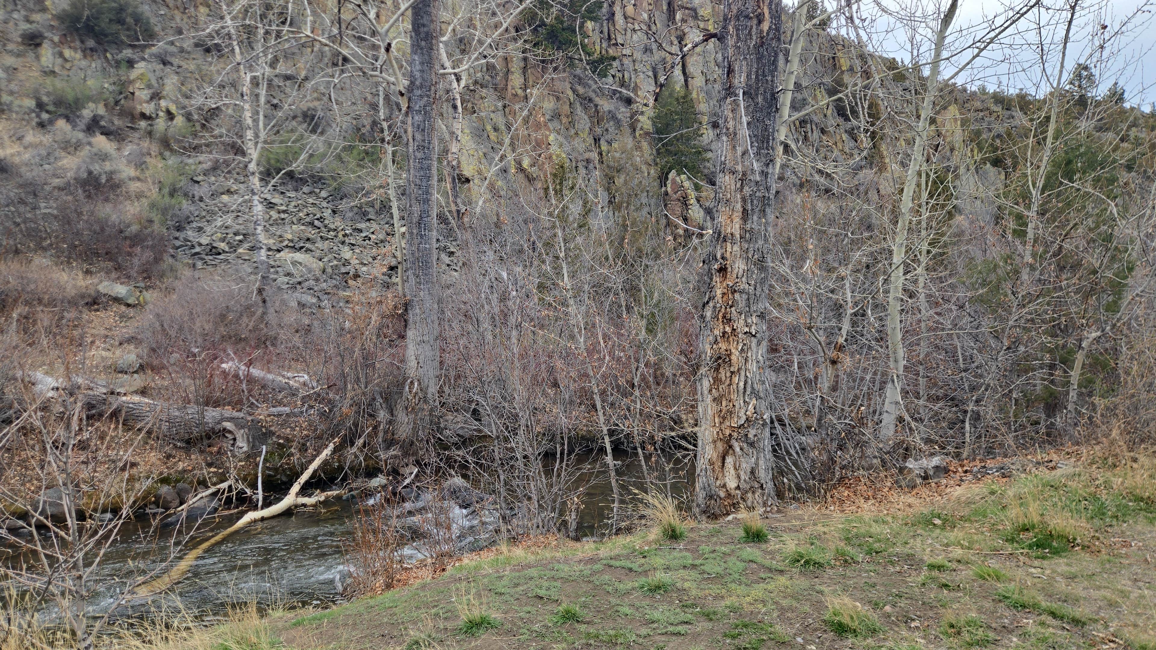 Camping near Upper Toston Dam Campground and Boat Launch: Crow Creek BLM Campground, Radersburg, Montana