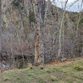 Review photo of Crow Creek BLM Campground by Andrew N., June 11, 2026