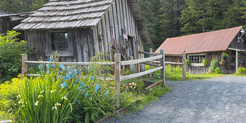 Camper submitted image from crow creek mine & campground