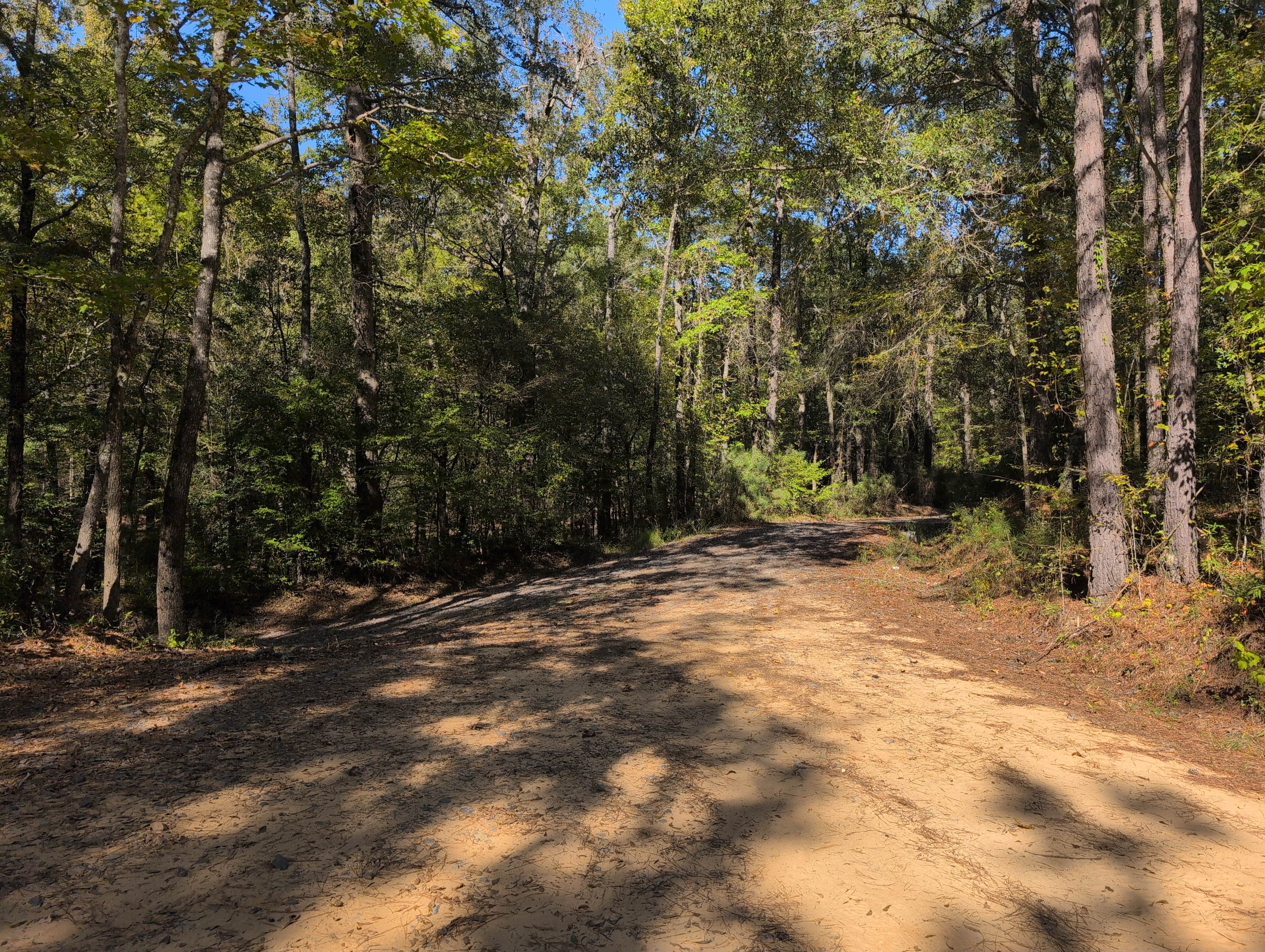 Camper-submitted photo at Crow Lake Primitive Sites near Junction City, AR