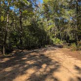 Review photo of Crow Lake Primitive Sites by Rick M., October 15, 2025