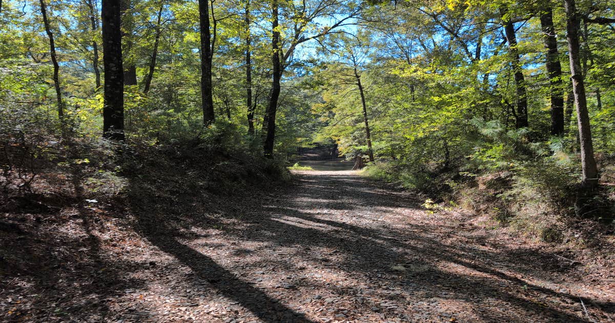 Crow Lake Primitive Sites