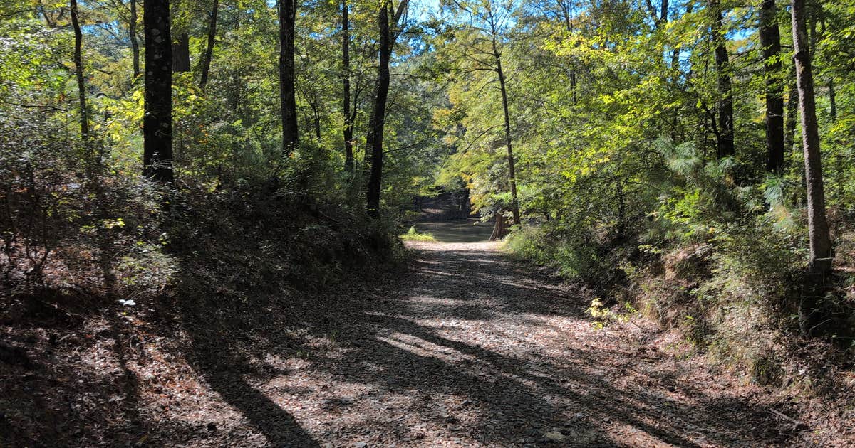 Crow Lake Primitive Sites
