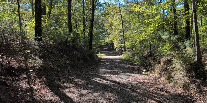 Camper submitted image from Crow Lake Primitive Sites