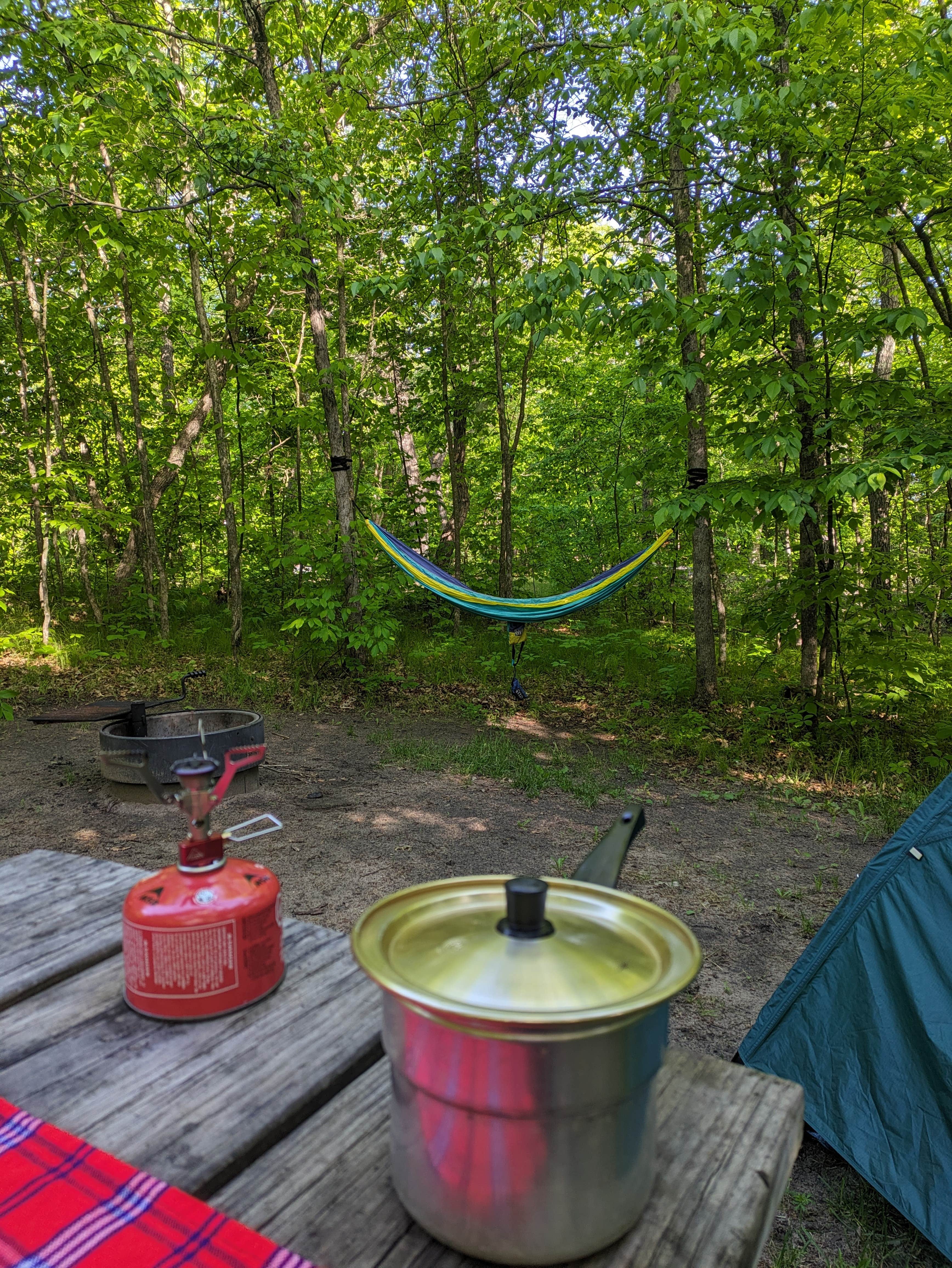 Sarah D.'s photo at Crow Wing State Park Campground near Nisswa, MN