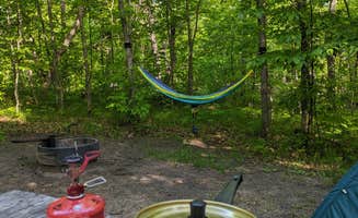 Sarah D.'s photo at Crow Wing State Park Campground near Nisswa, MN