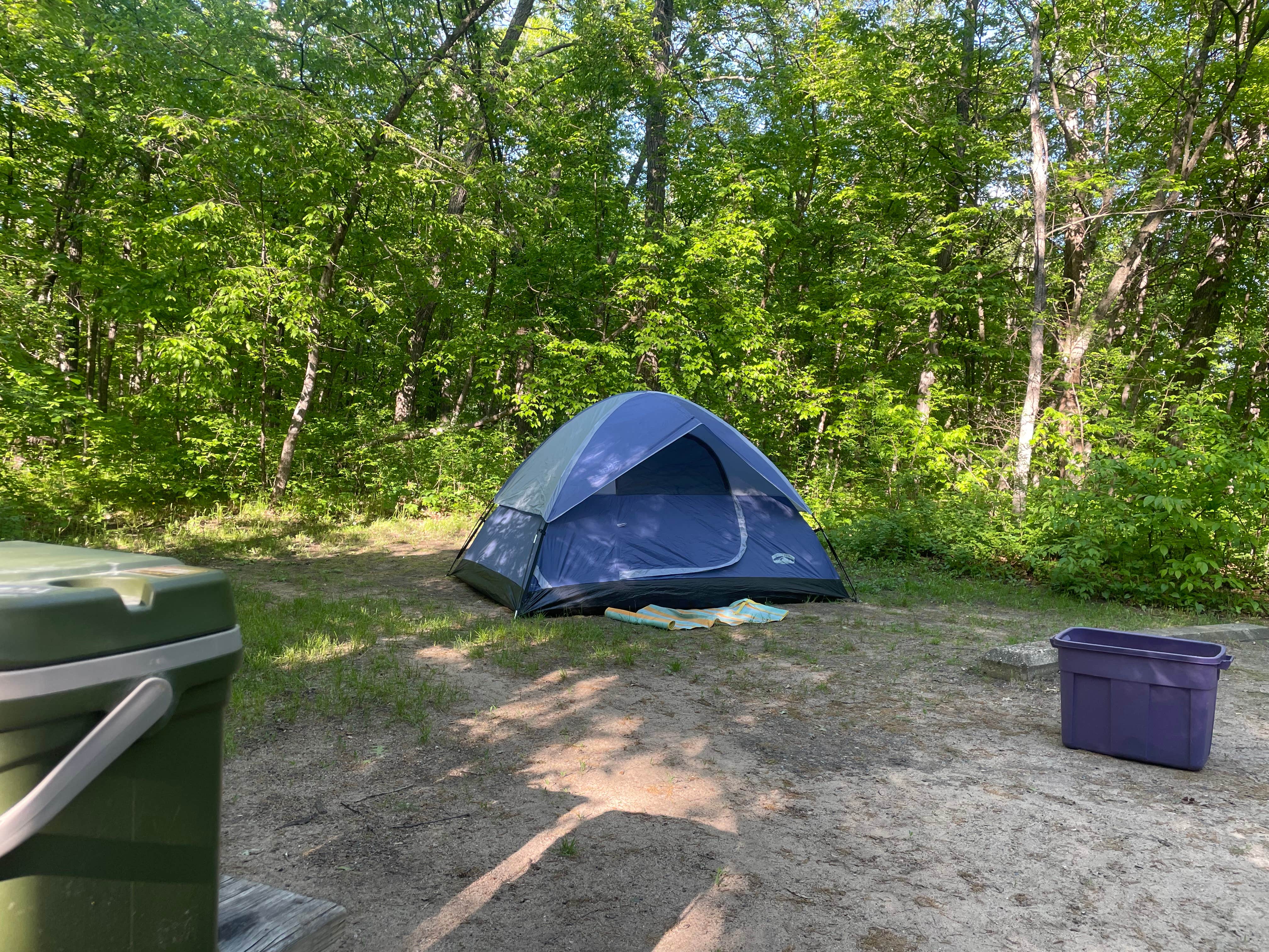 Emelia O.'s photo at Crow Wing State Park Campground near Staples, MN