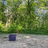 Review photo of Crow Wing State Park Campground by Emelia O., June 1, 2024