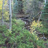 Review photo of Crown Point Road Dispersed by Adam C., September 28, 2026