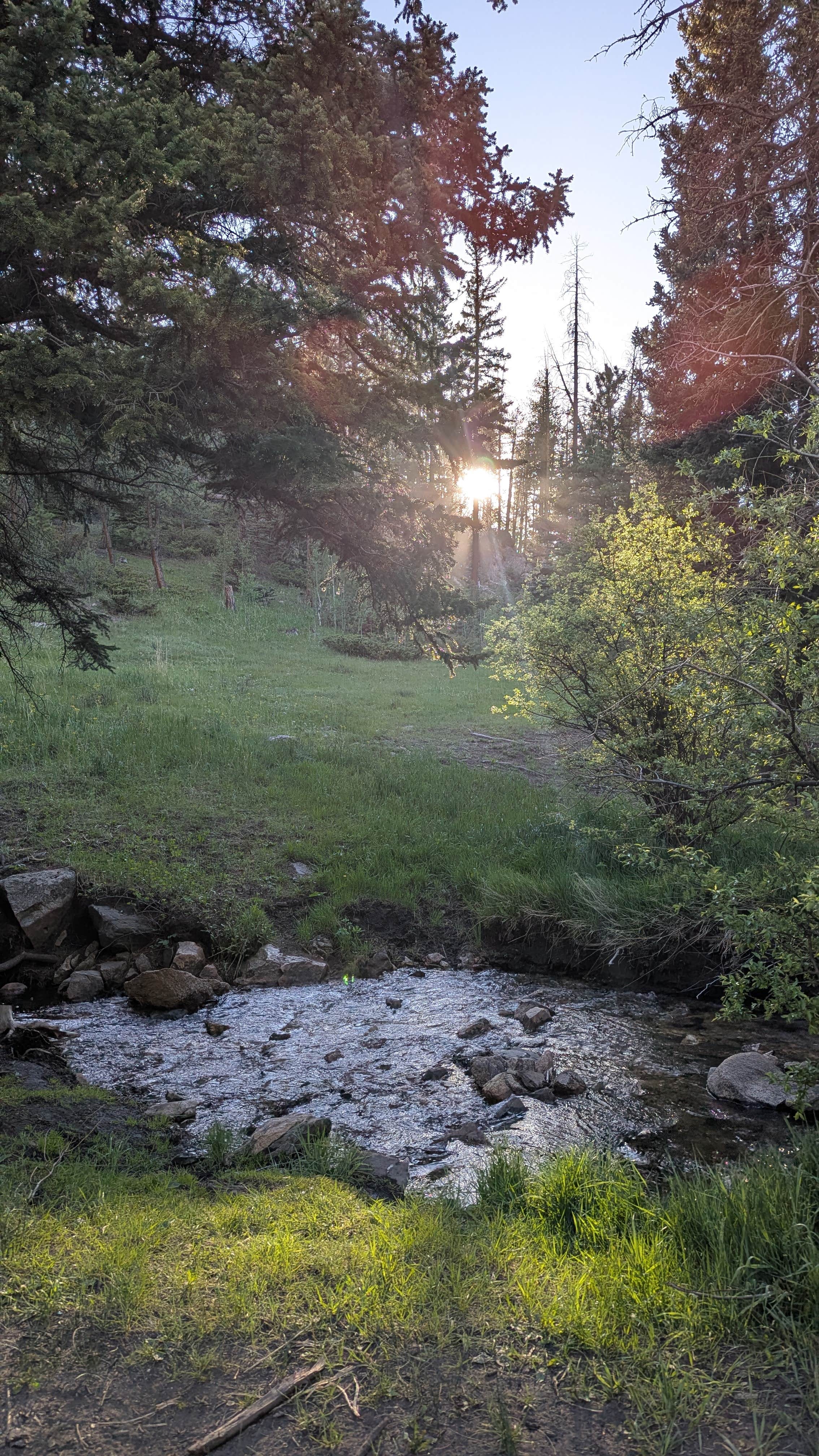 Ben G.'s photo of a dispersed camping area at Crown Point Road Dispersed near Greeley, CO