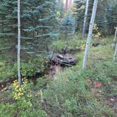 Review photo of Crown Point Road Dispersed by Adam C., September 28, 2026