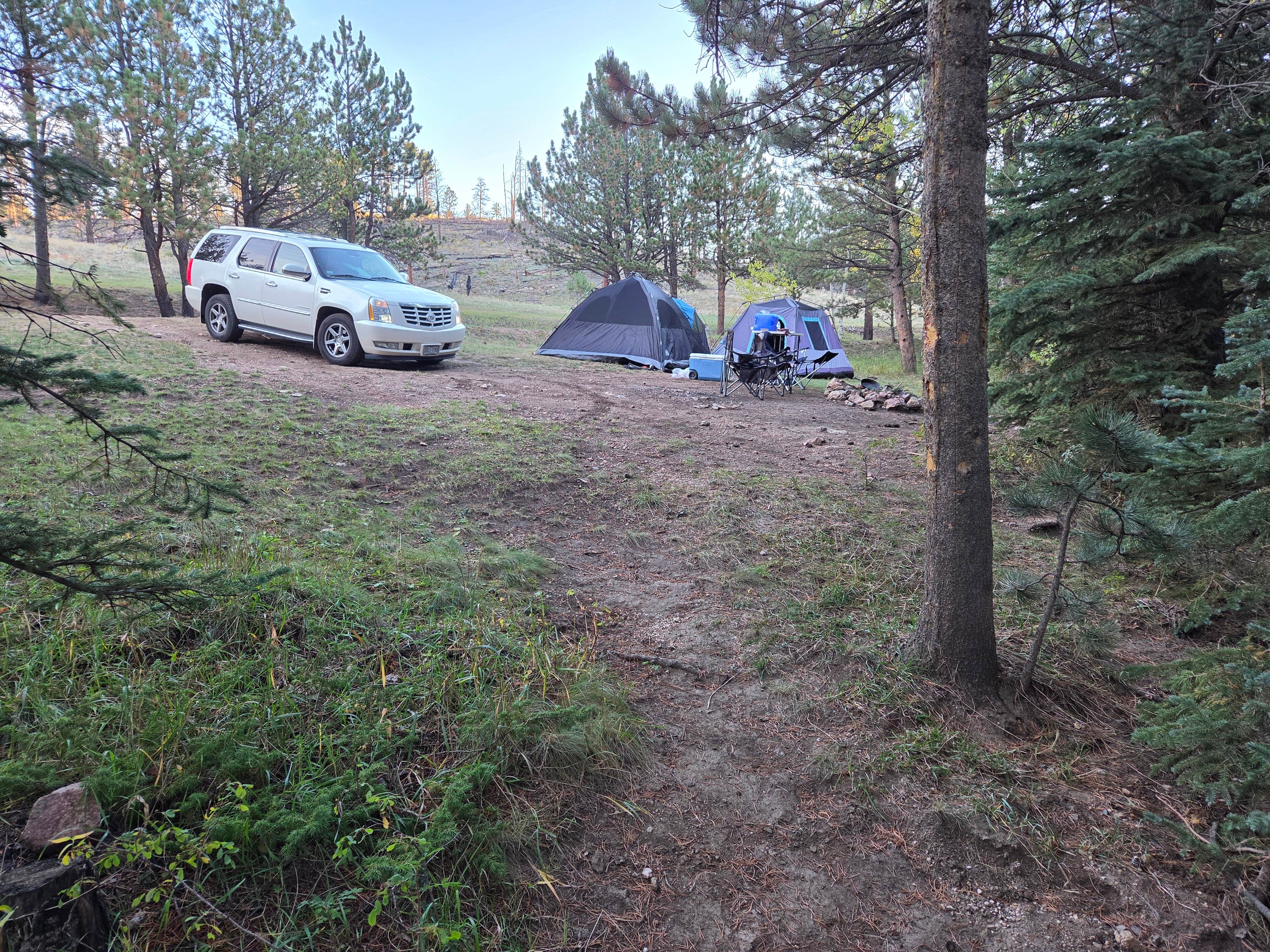 Camping near Kelly Flats Campground: Crown Point Road Dispersed, Red Feather Lakes, Colorado