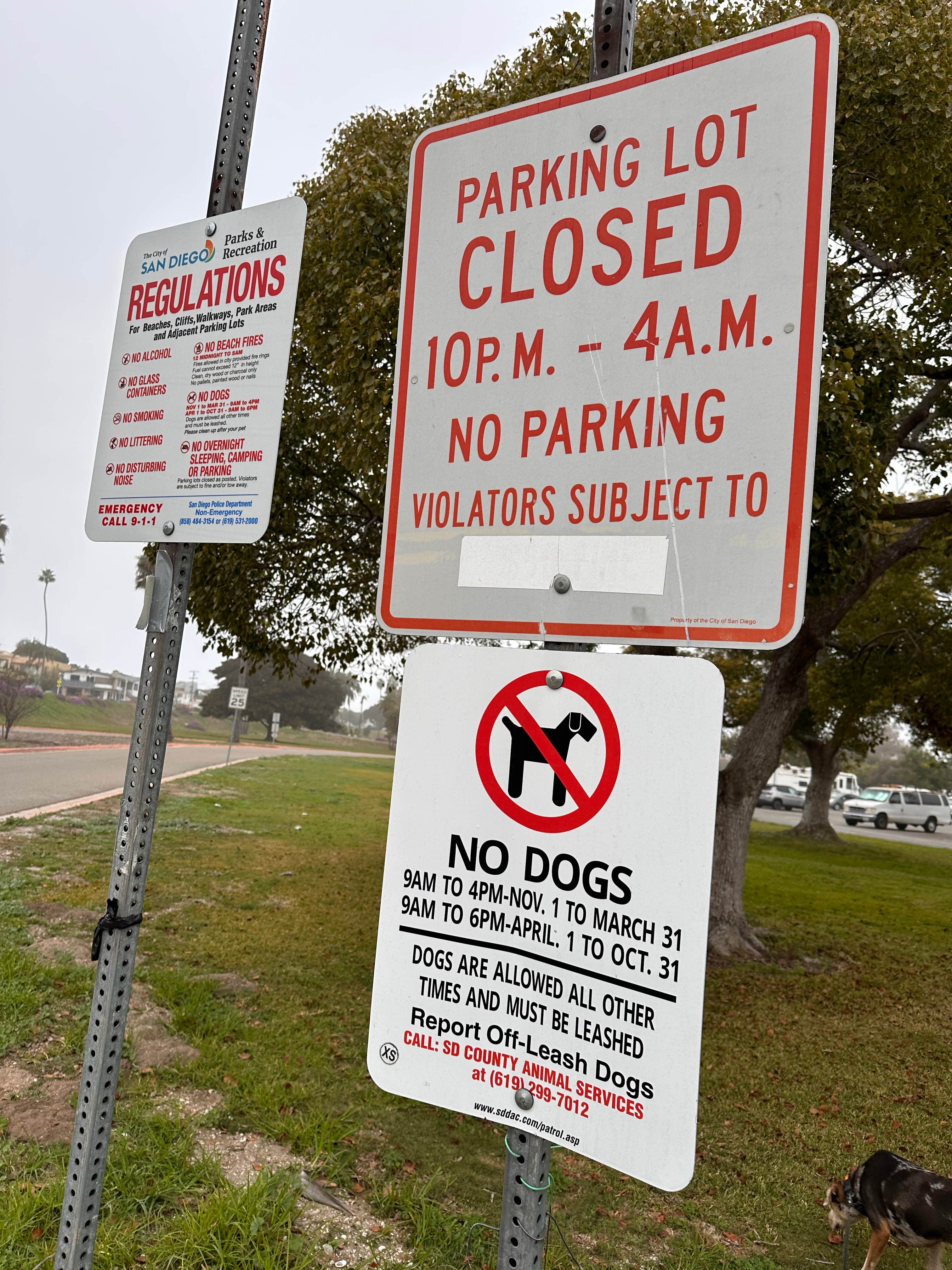 Camper submitted image from crown pointe park mission bay, California - 1