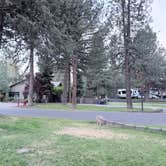 Review photo of Crown Villa RV Resort by Kelli R., June 8, 2026