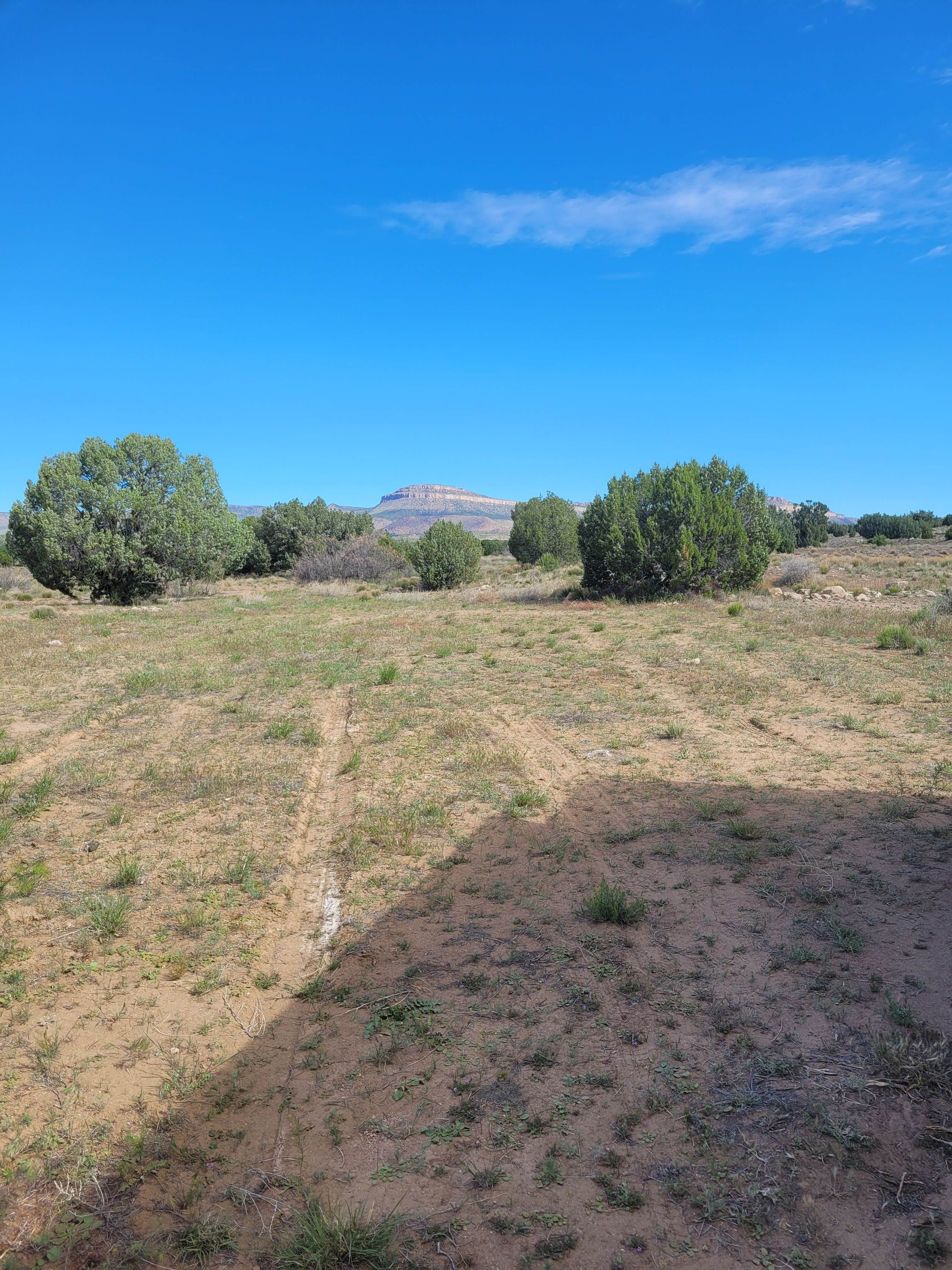 Camper-submitted photo at Crozier Dispersed near Kingman, AZ
