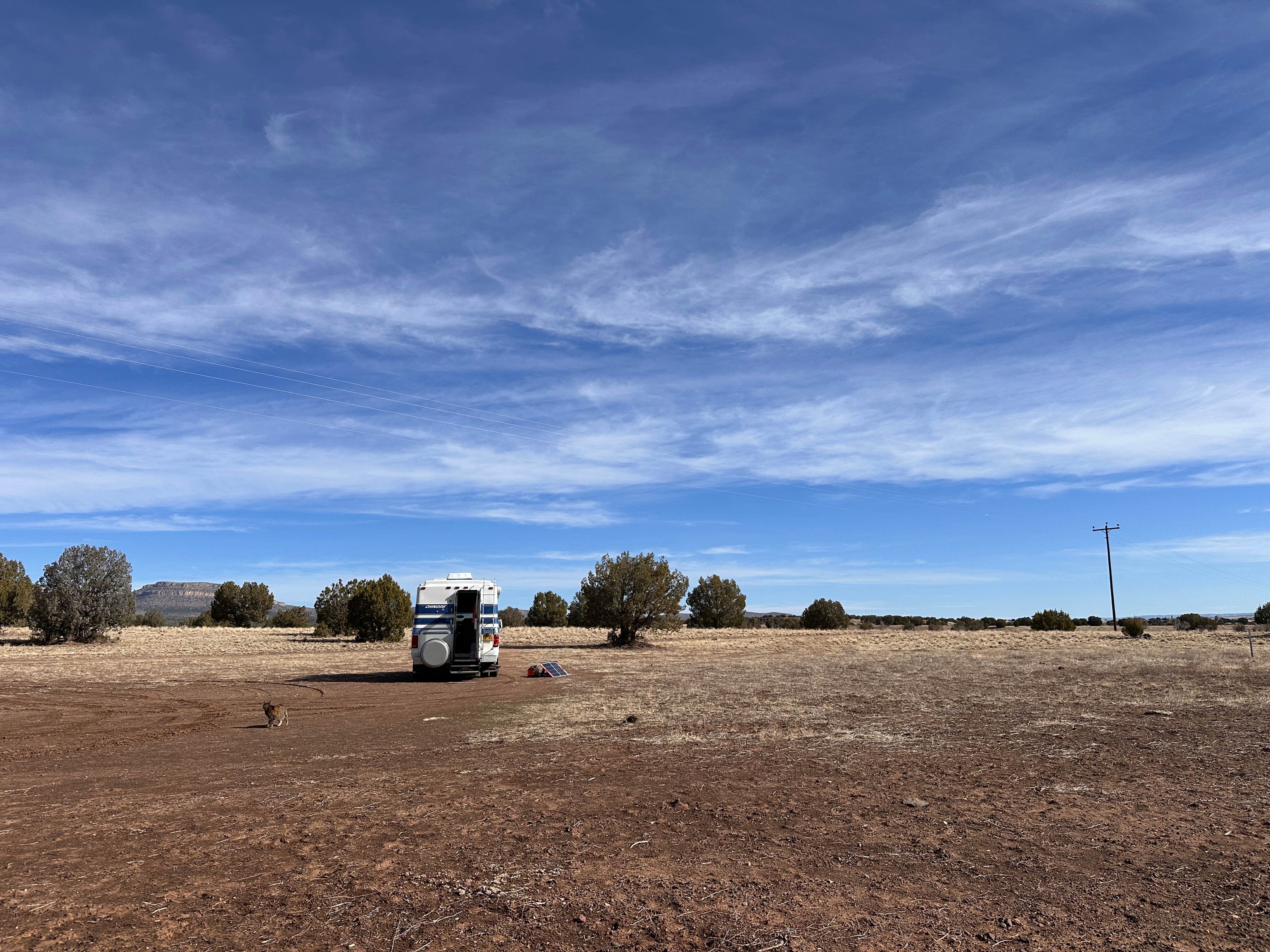 Kathy B.'s photo of camping with pets at Crozier Dispersed near Peach Springs, AZ