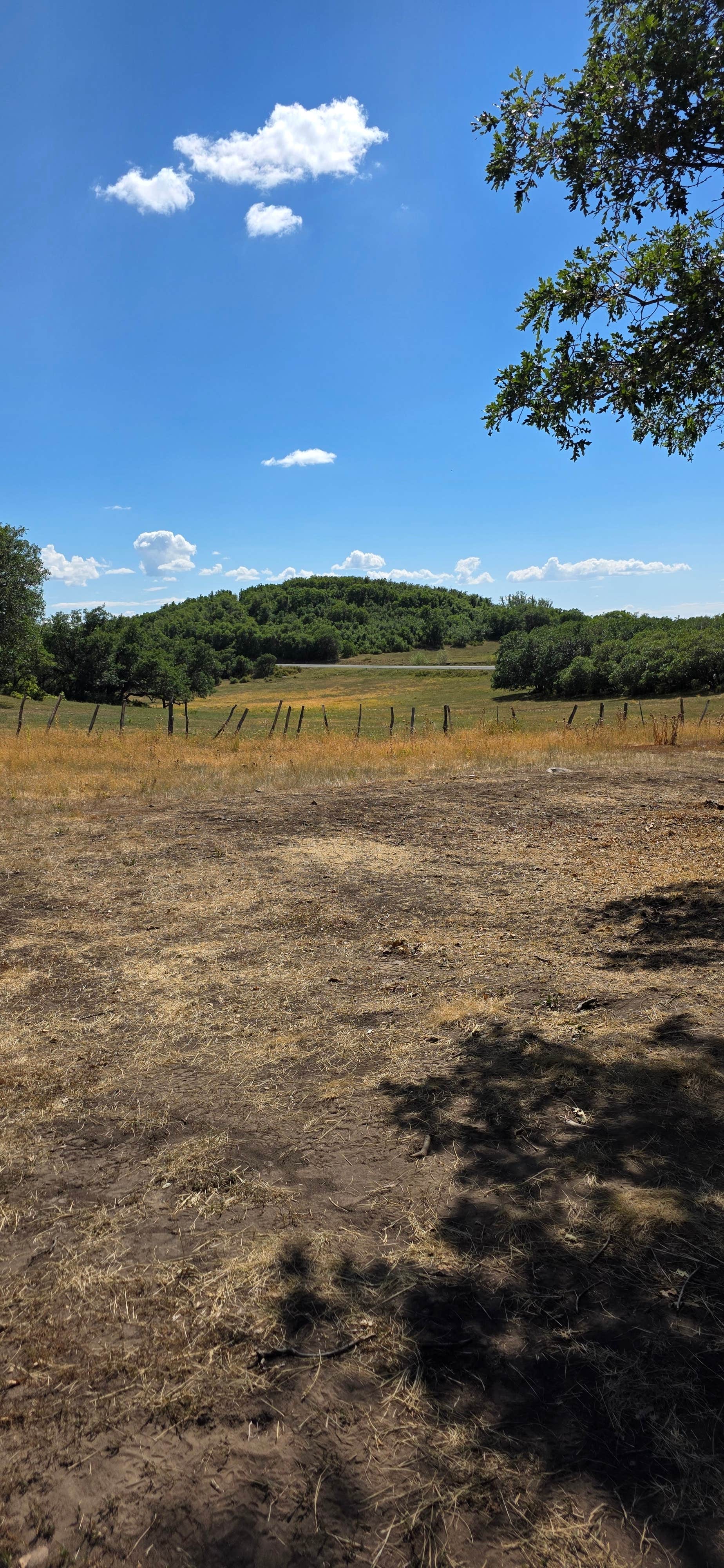 Camping near West Steer Resevoir: Crystal Creek Creekside Camp, Mancos, Colorado