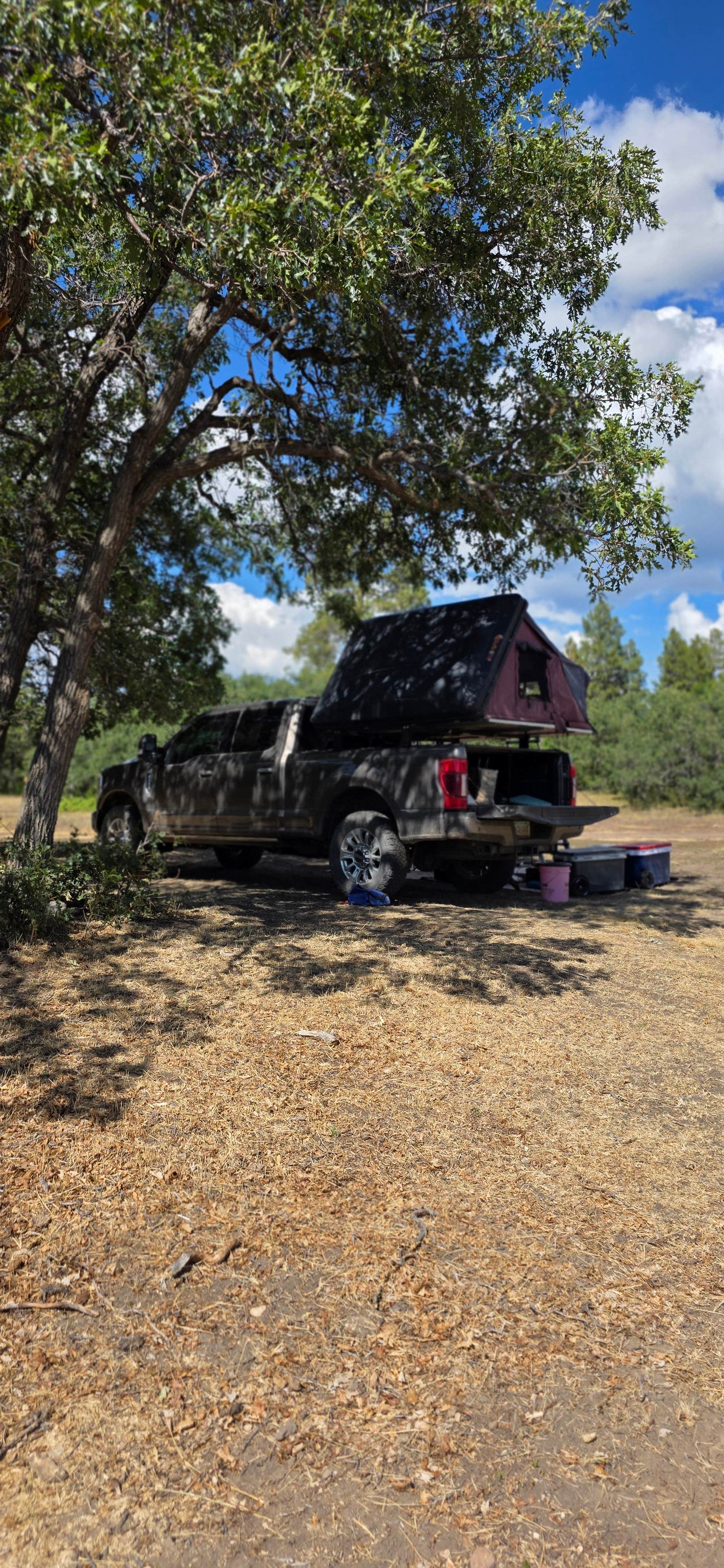 Camper submitted image from Crystal Creek Creekside Camp - 2