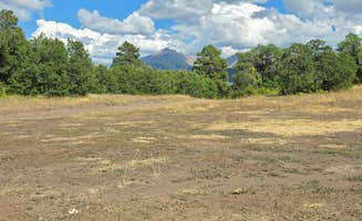 Jennifer L.'s photo of a dispersed camping area at Crystal Creek Creekside Camp near Mesa Verde National Park