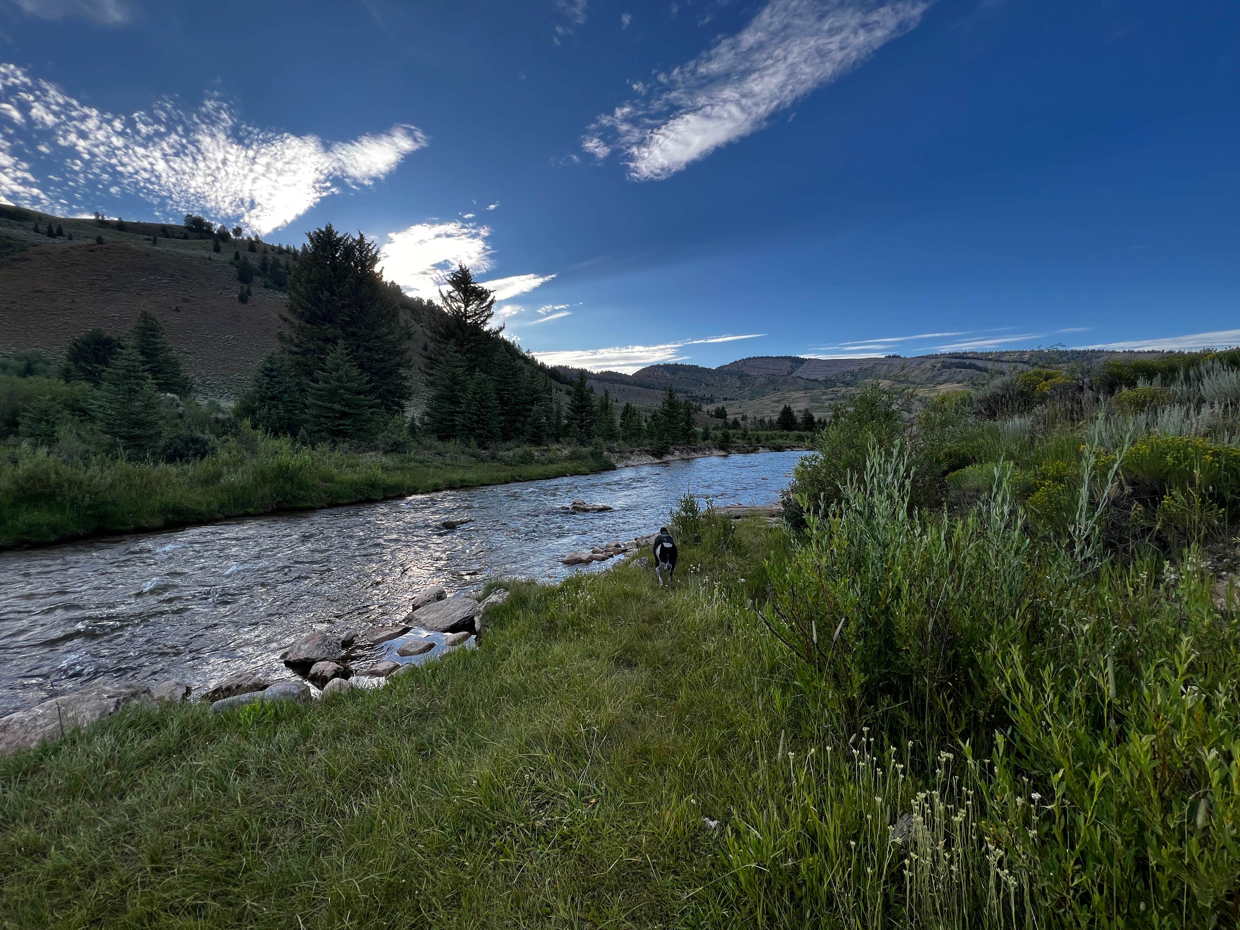 Camper submitted image from Crystal Creek Dispersed Camping - 2