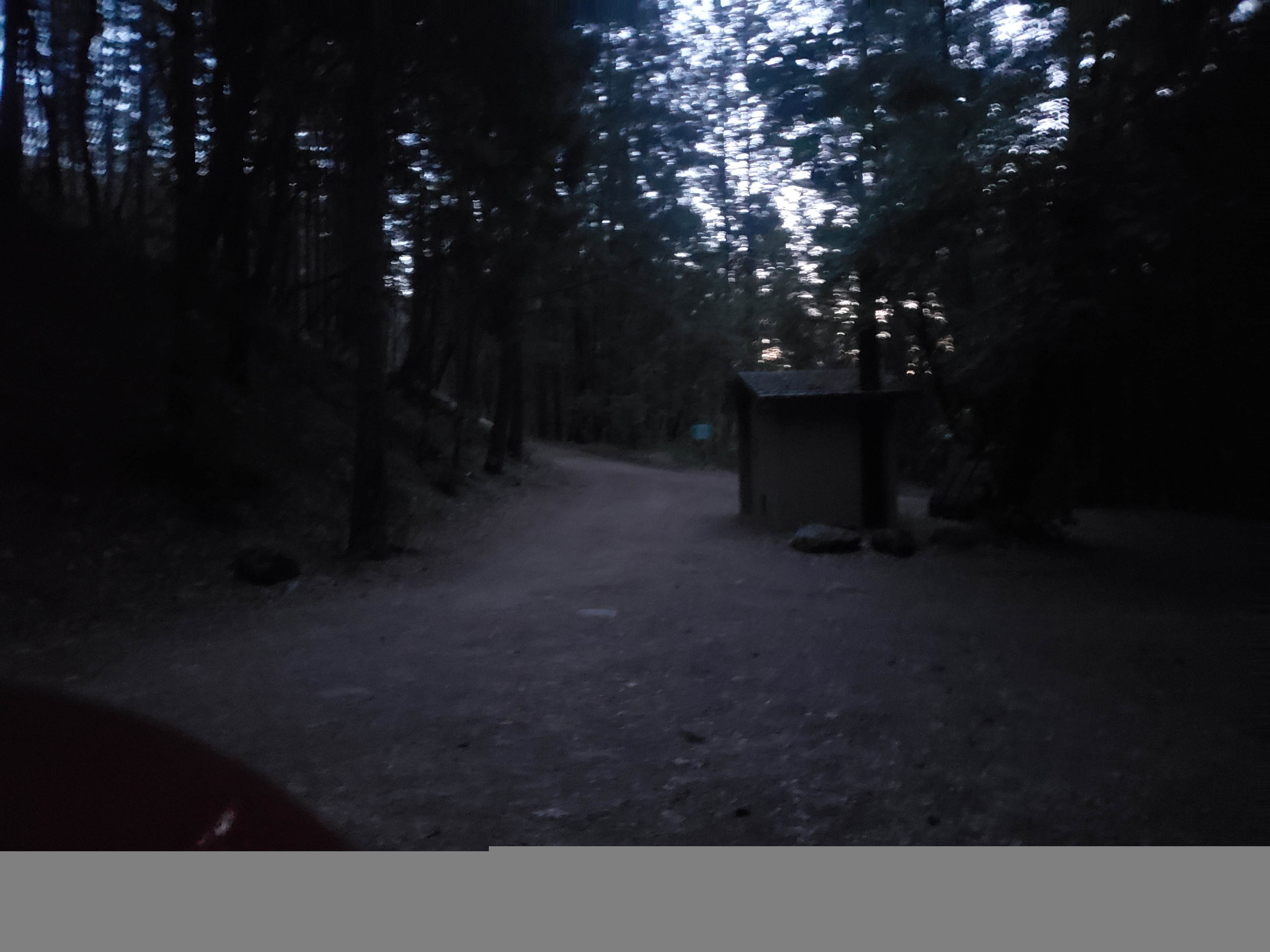 Camper submitted image from Crystal Creek Primitive Campground — Whiskeytown-Shasta-Trinity National Recreation Area - 2