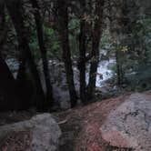 Review photo of Crystal Creek Primitive Campground — Whiskeytown-Shasta-Trinity National Recreation Area by Rick A., May 30, 2024