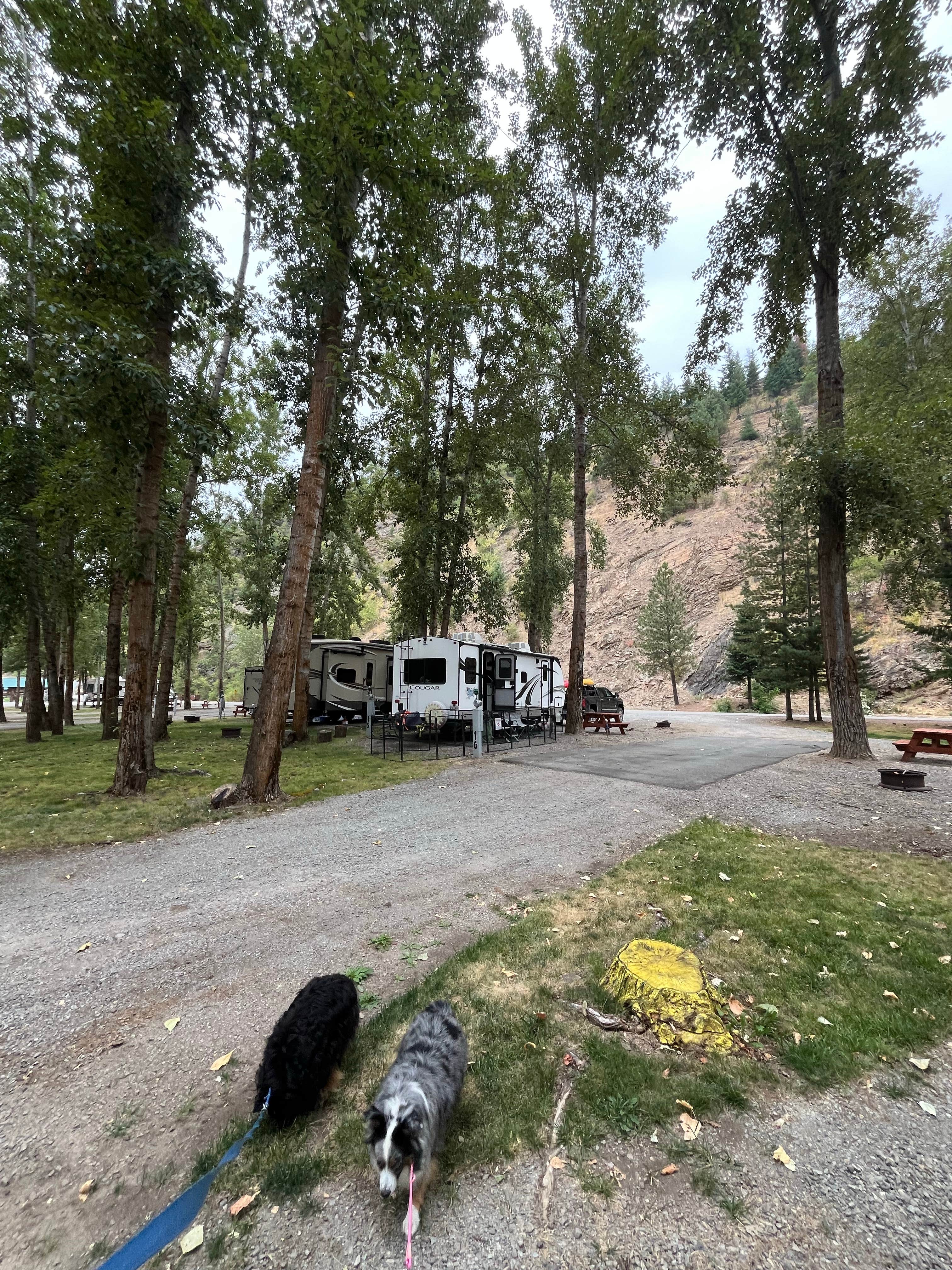 andrew's photo of camping with pets at Crystal Gold Mine near Wallace, ID