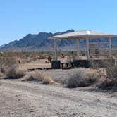 Review photo of Kofa National Wildlife Refuge - Crystal Hill Free Campsites by Greg L., November 8, 2024