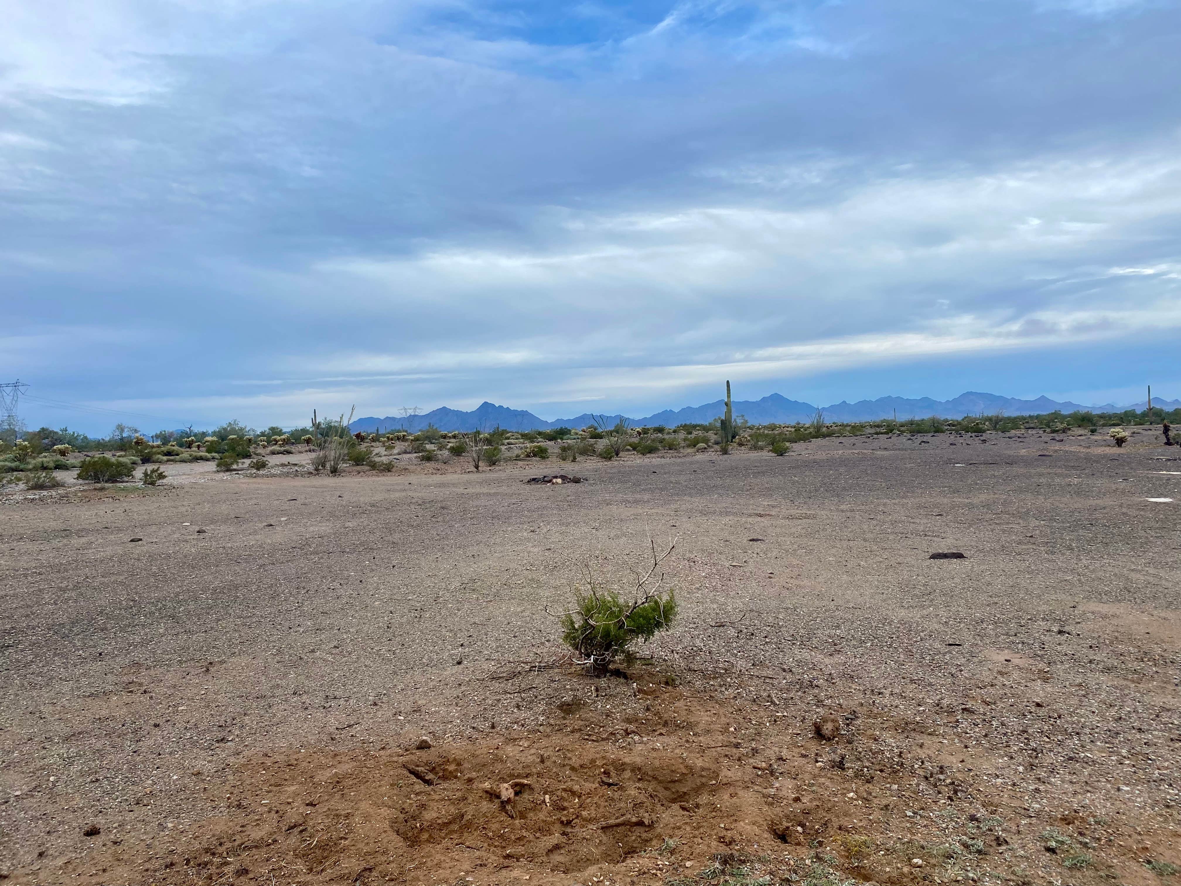 Imerie T.'s photo of a dispersed camping area at Kofa National Wildlife Refuge - Crystal Hill Free Campsites near Wenden, AZ